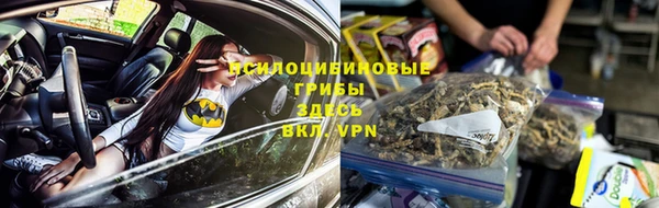 соль ск Нефтекумск
