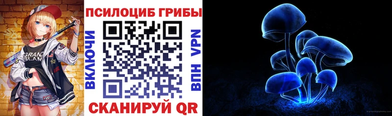 Псилоцибиновые грибы Psilocybe  Купить закладки  Ржев 